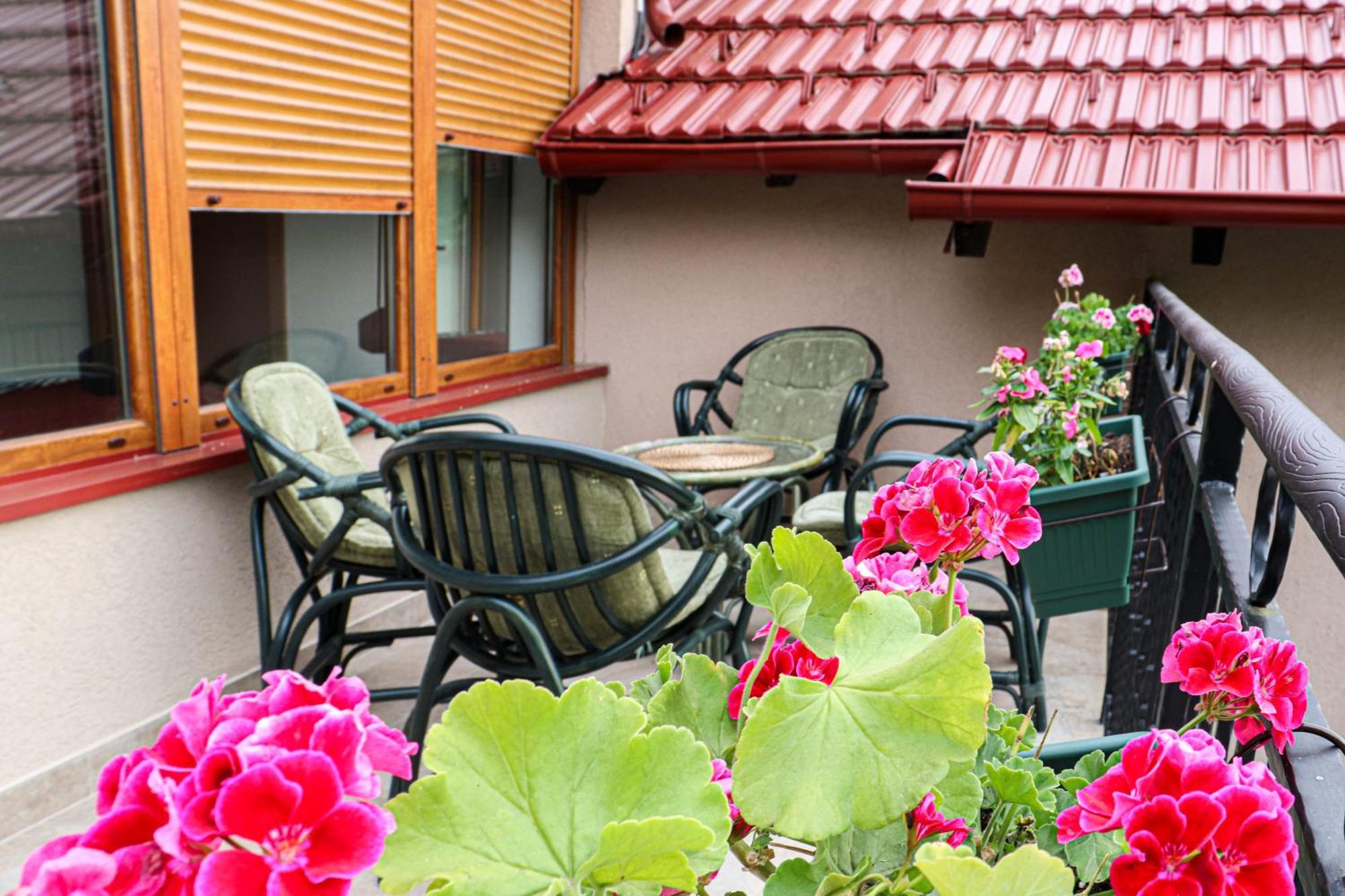 Sunset Home Vrsac Ngoại thất bức ảnh